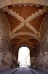 photo No. IMG_4091